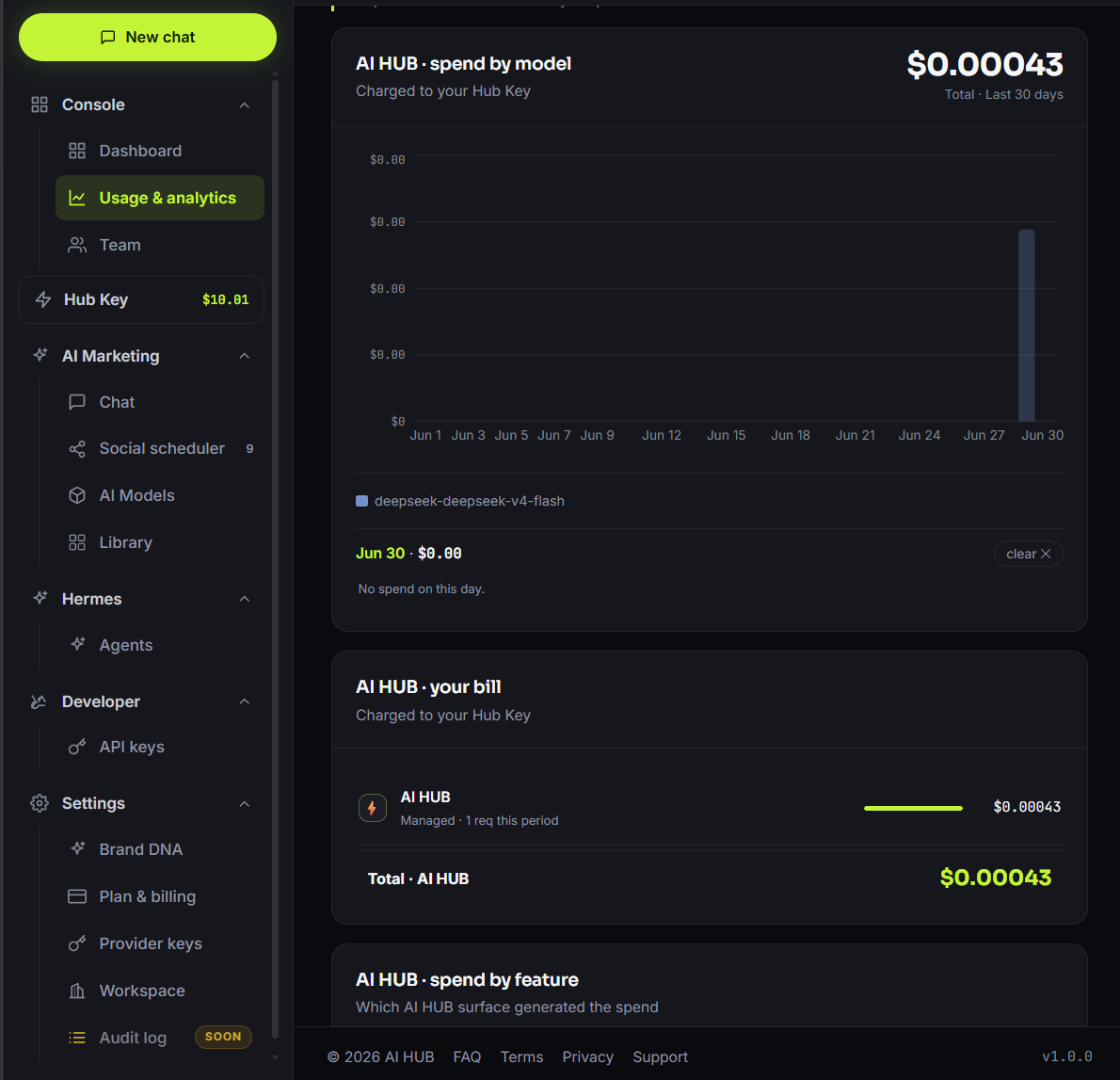 The AI HUB usage page filtered to developer-API calls, with a table listing each call's model, input and output token counts, and the USD cost charged to the wallet.